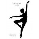 Justaucorps 1C1